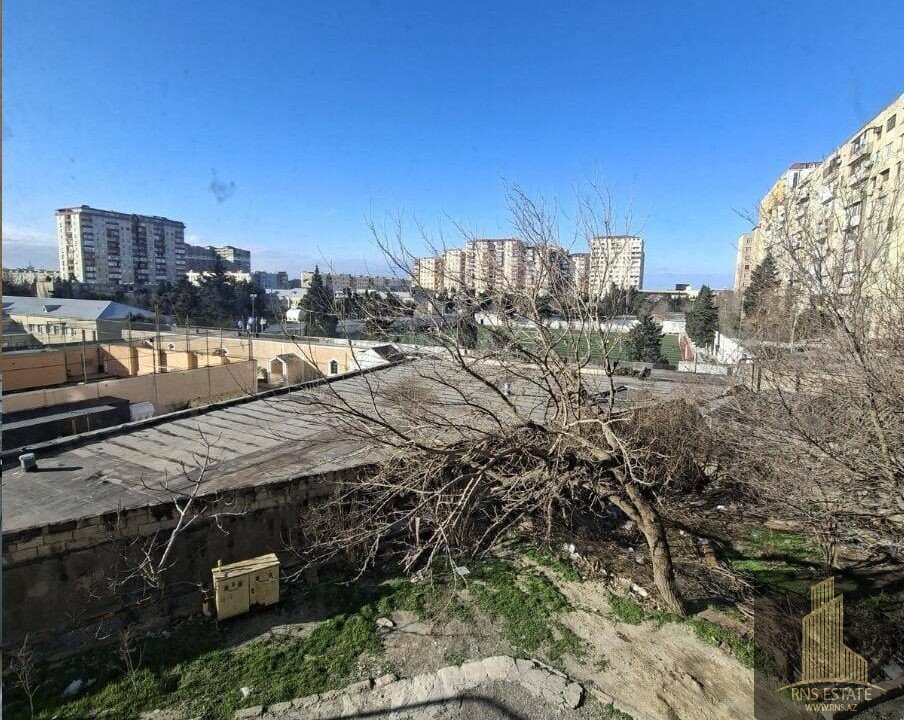 photo_2026-02-23_16-37-31 (2)