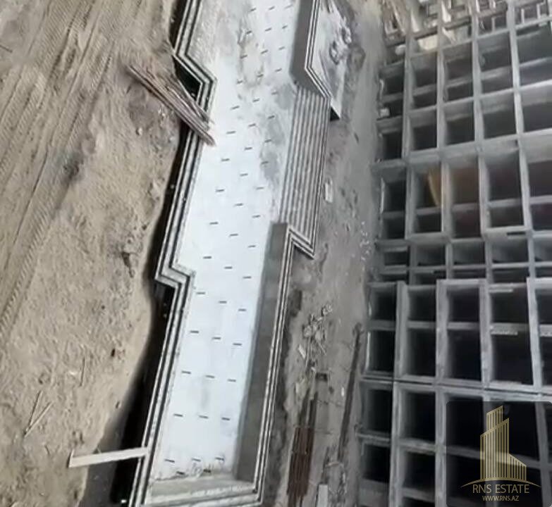 photo_2026-02-24_10-55-40