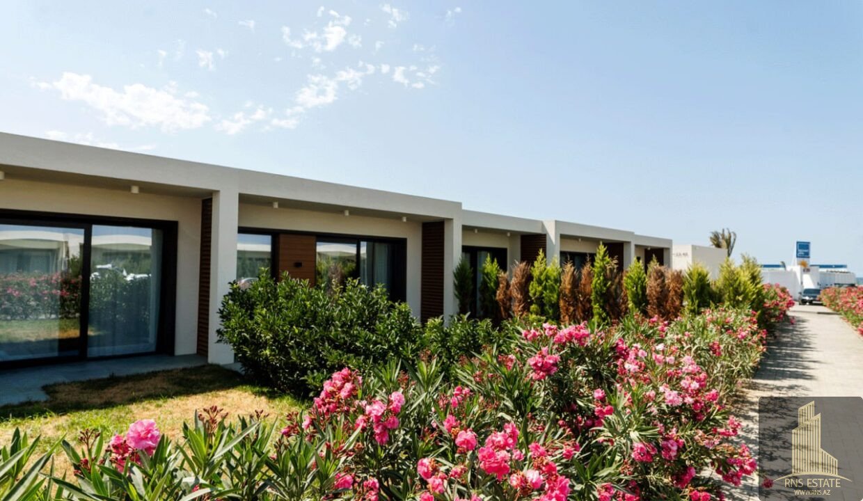 photo_2_2025-08-13_22-23-18