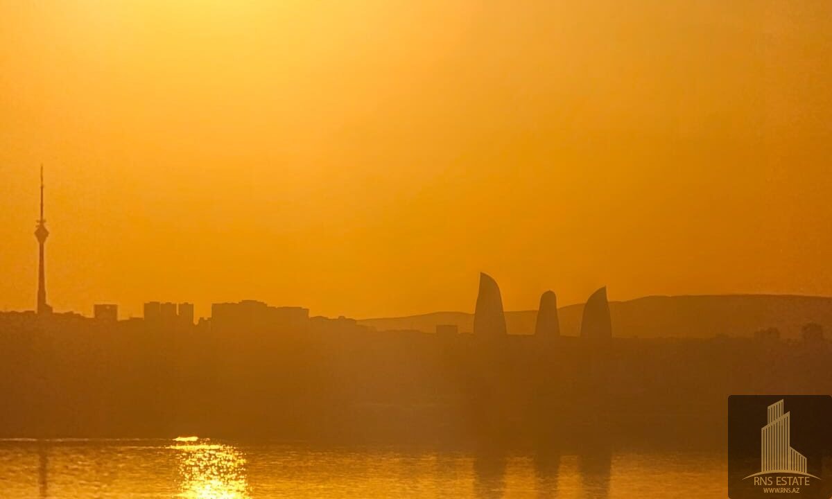 WhatsApp Image 2024-03-05 at 17.04.42