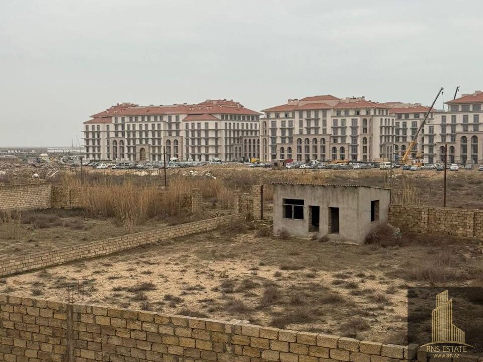 photo_2026-02-27_17-50-06 (2)