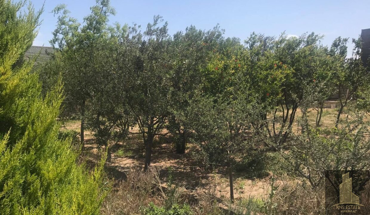 photo_2026-03-04_13-27-15 (2)