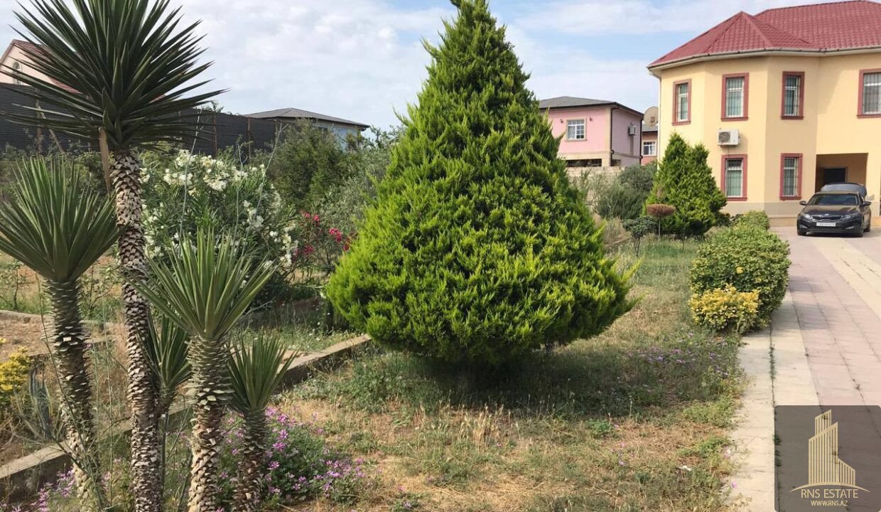 photo_2026-03-04_13-27-17 (2)