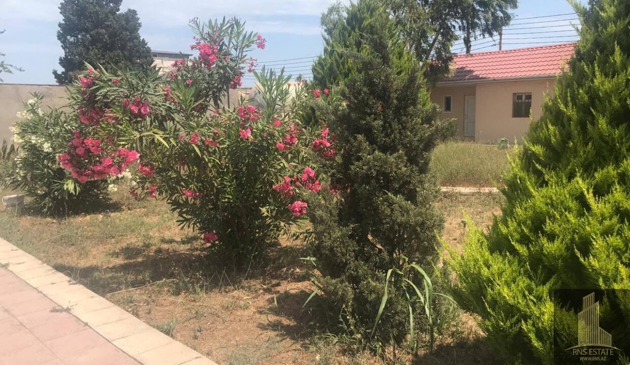 photo_2026-03-04_13-27-19