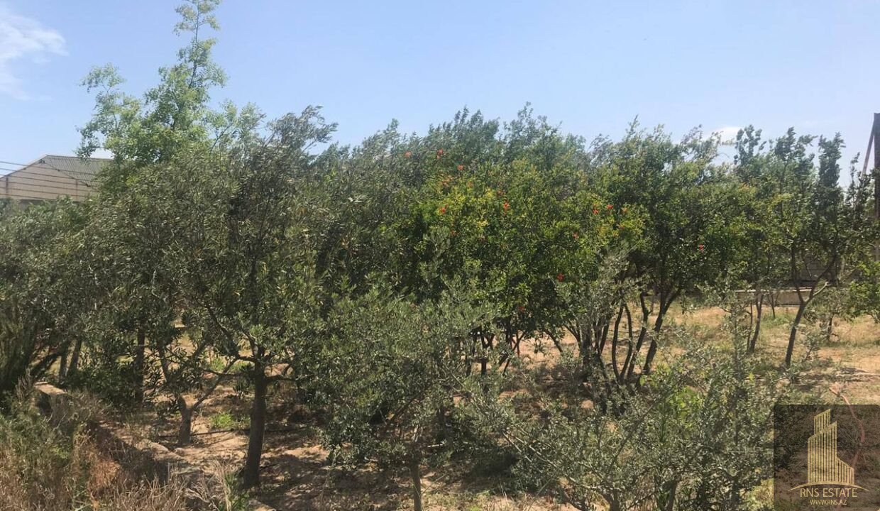 photo_2026-03-04_13-27-23