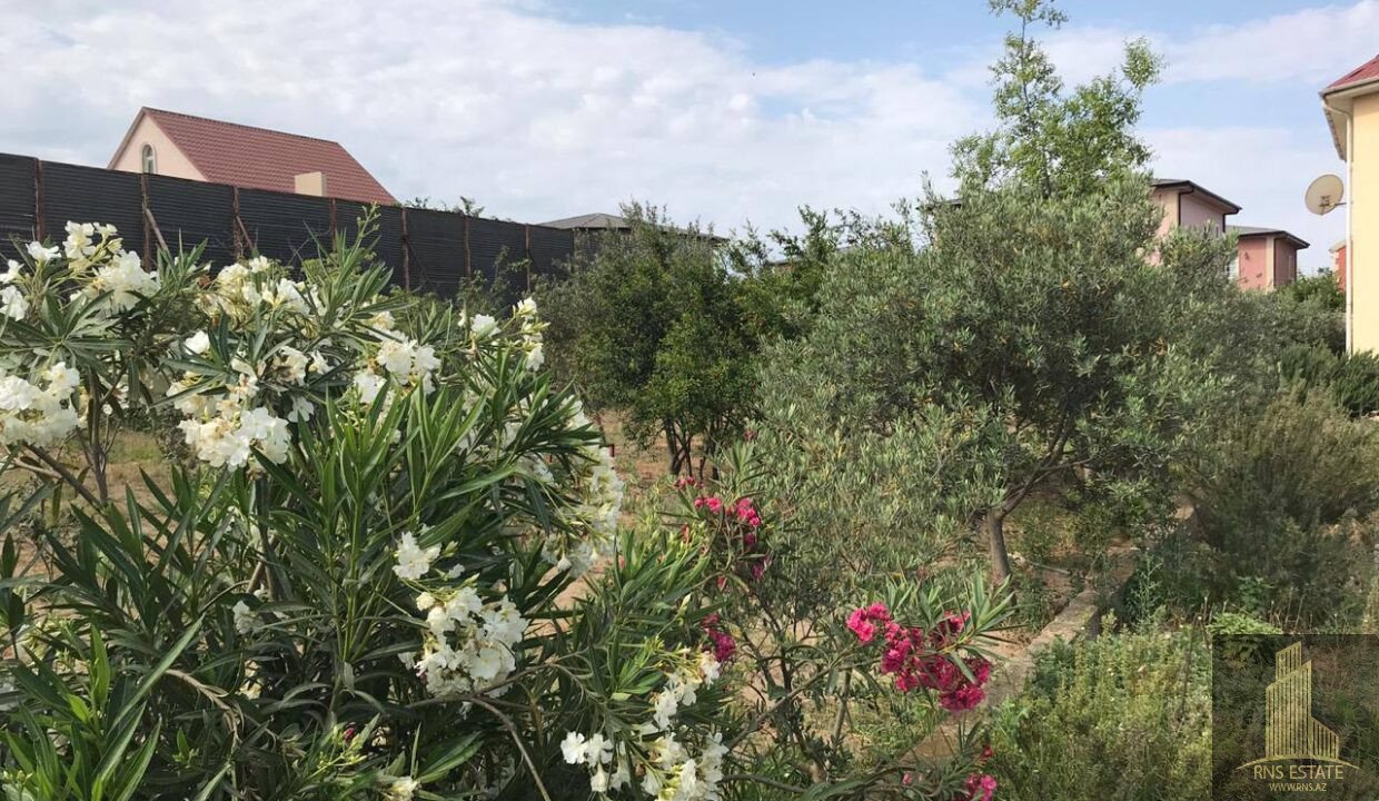 photo_2026-03-04_13-27-24