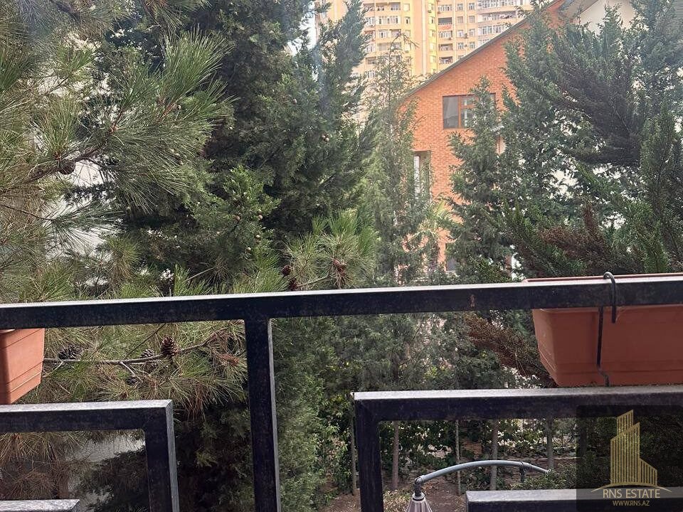 photo_2026-03-04_13-34-29