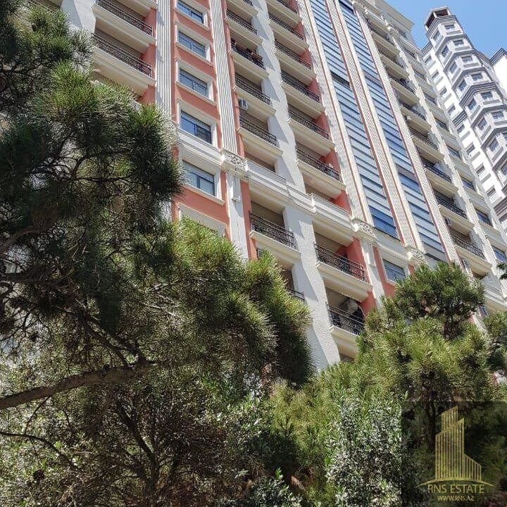 photo_2026-03-05_12-04-31