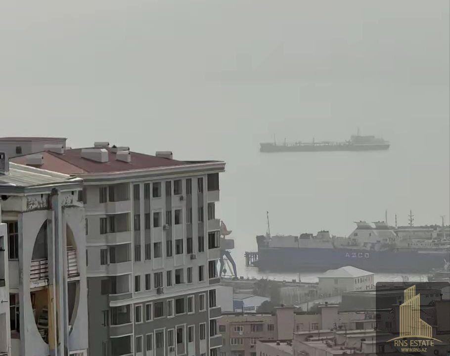 photo_2026-03-10_15-37-02 (2)