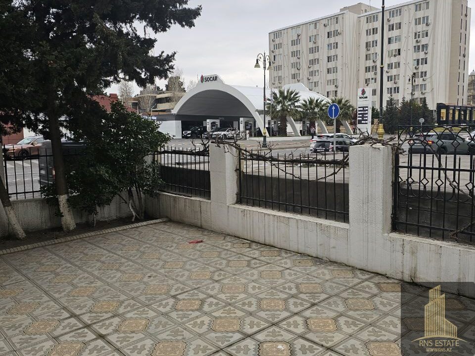 photo_2026-03-10_15-44-33