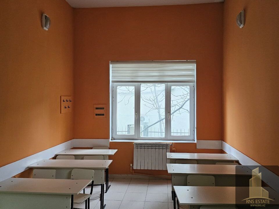 photo_2026-03-10_15-44-35 (2)