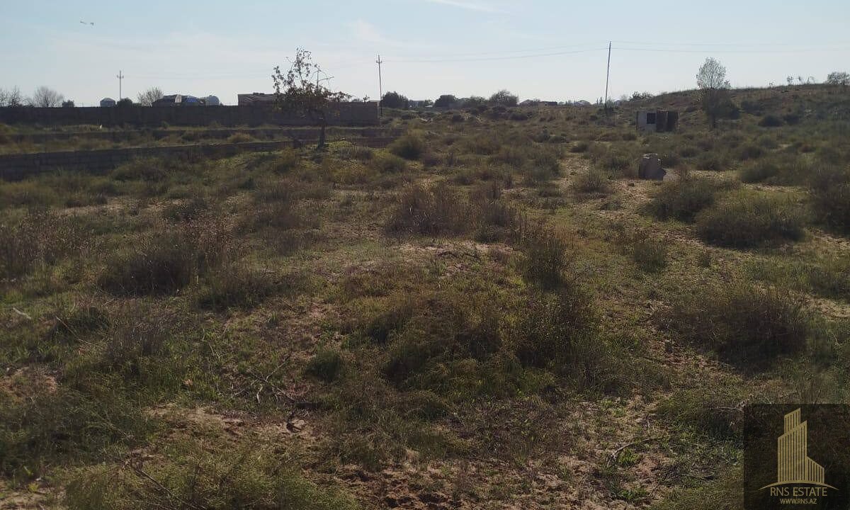 photo_2026-03-10_16-47-43