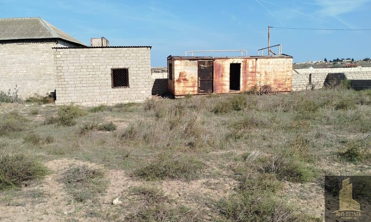 photo_2026-03-10_16-47-44 (2)