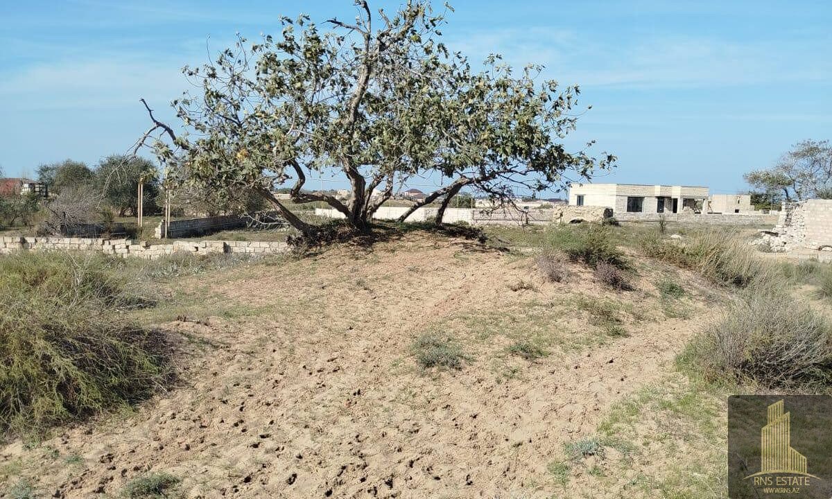 photo_2026-03-10_16-47-45