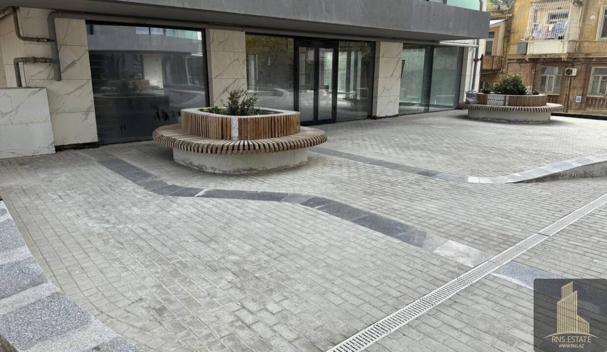 photo_2026-03-13_10-15-44