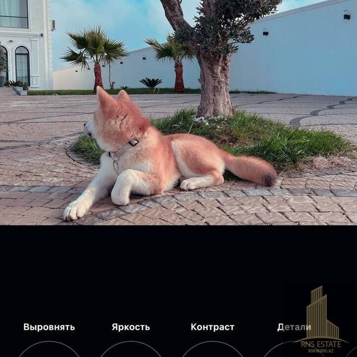 photo_2026-03-13_15-56-31 (2)