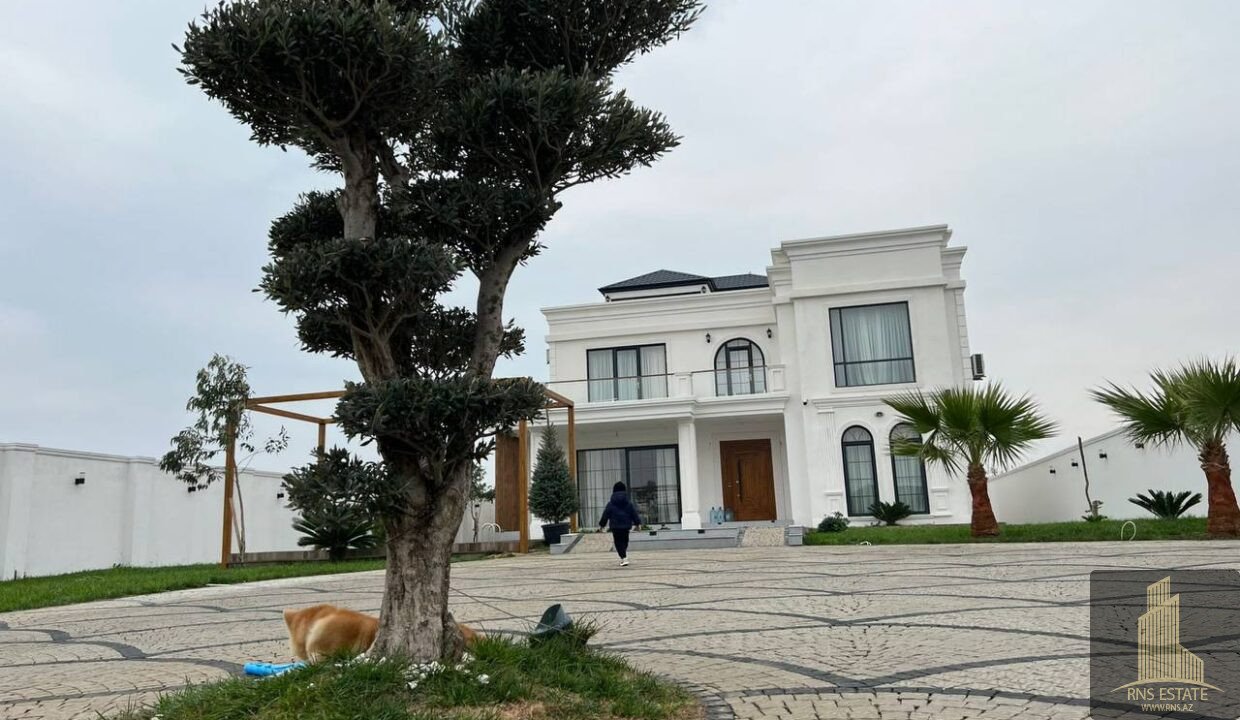 photo_2026-03-13_15-56-33 (2)