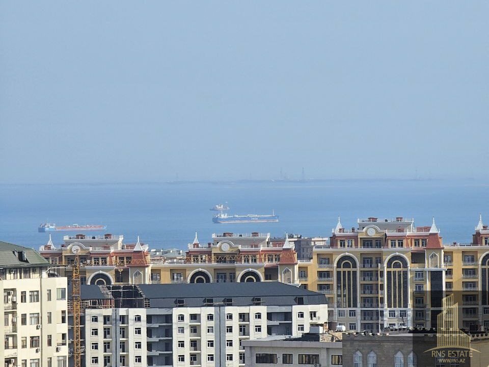 photo_2026-03-16_11-20-00