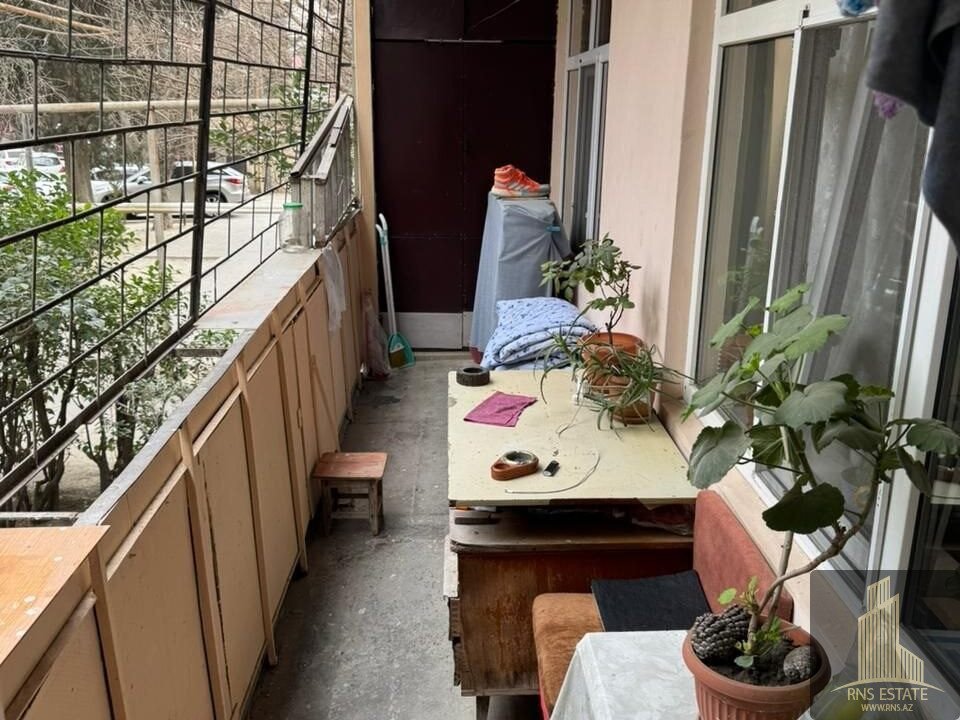 photo_2026-03-24_14-05-36