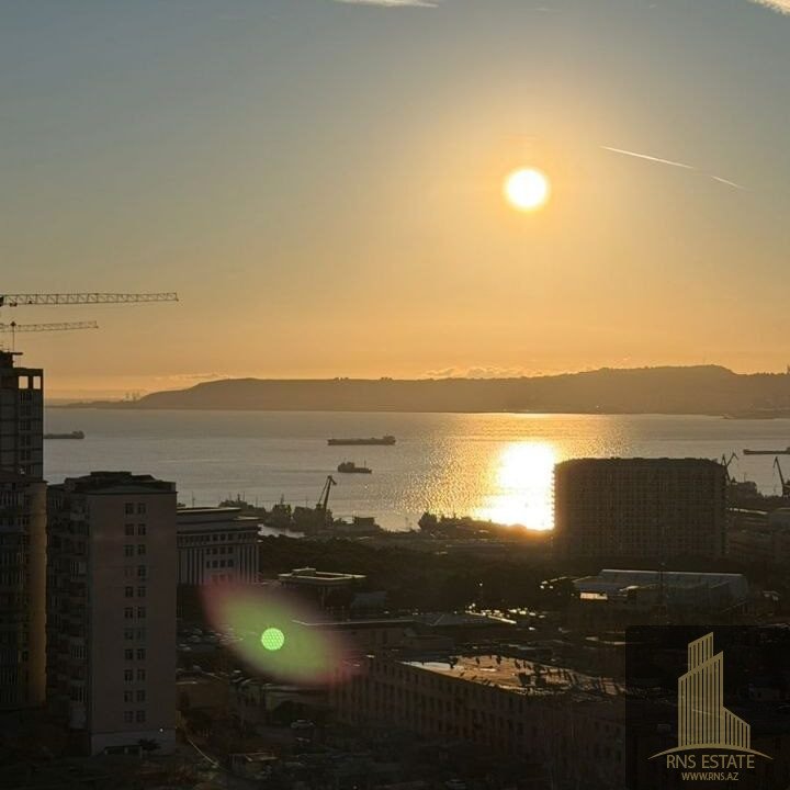 photo_2026-03-24_16-01-38 (3)