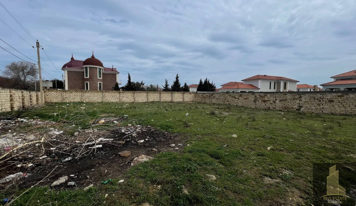 photo_2026-04-02_12-53-20 (2)