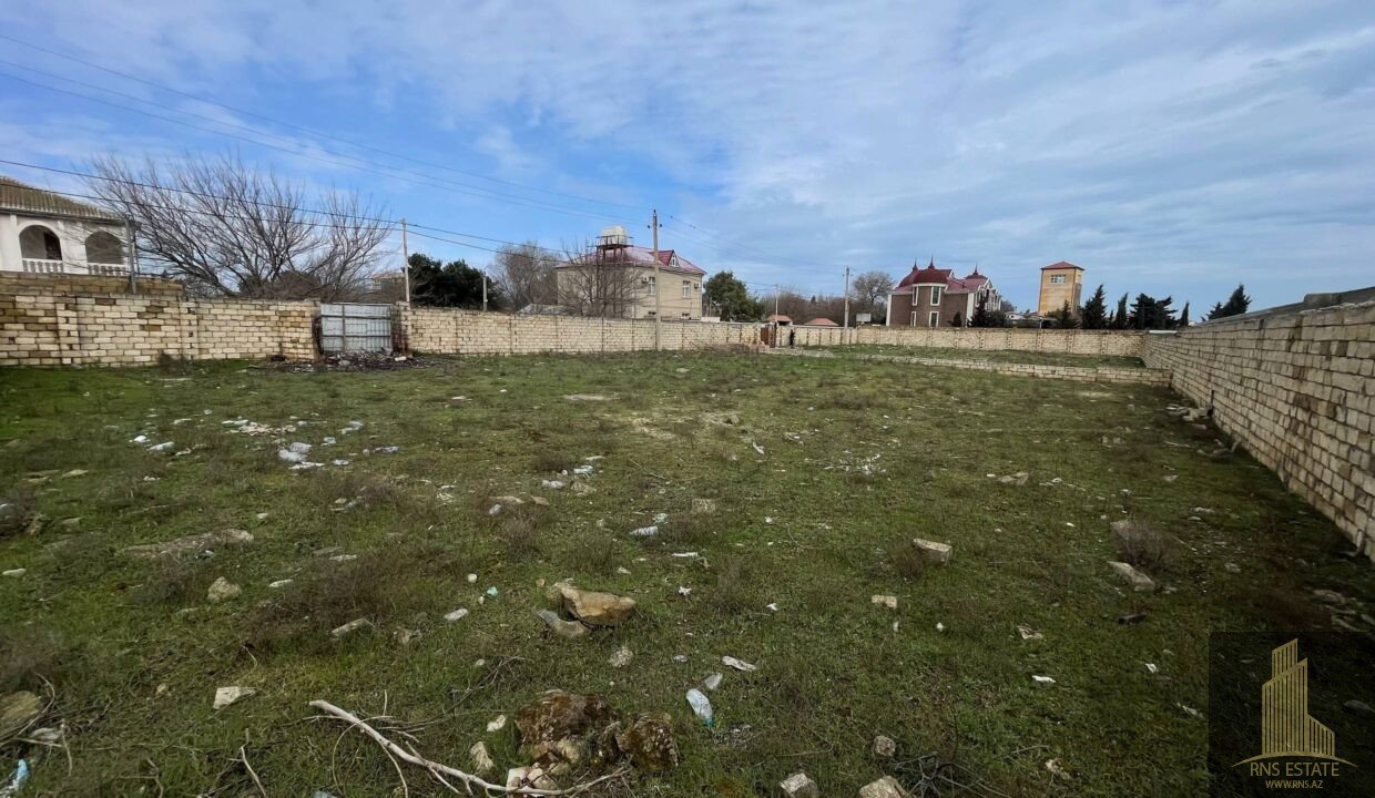 photo_2026-04-02_12-53-21 (2)