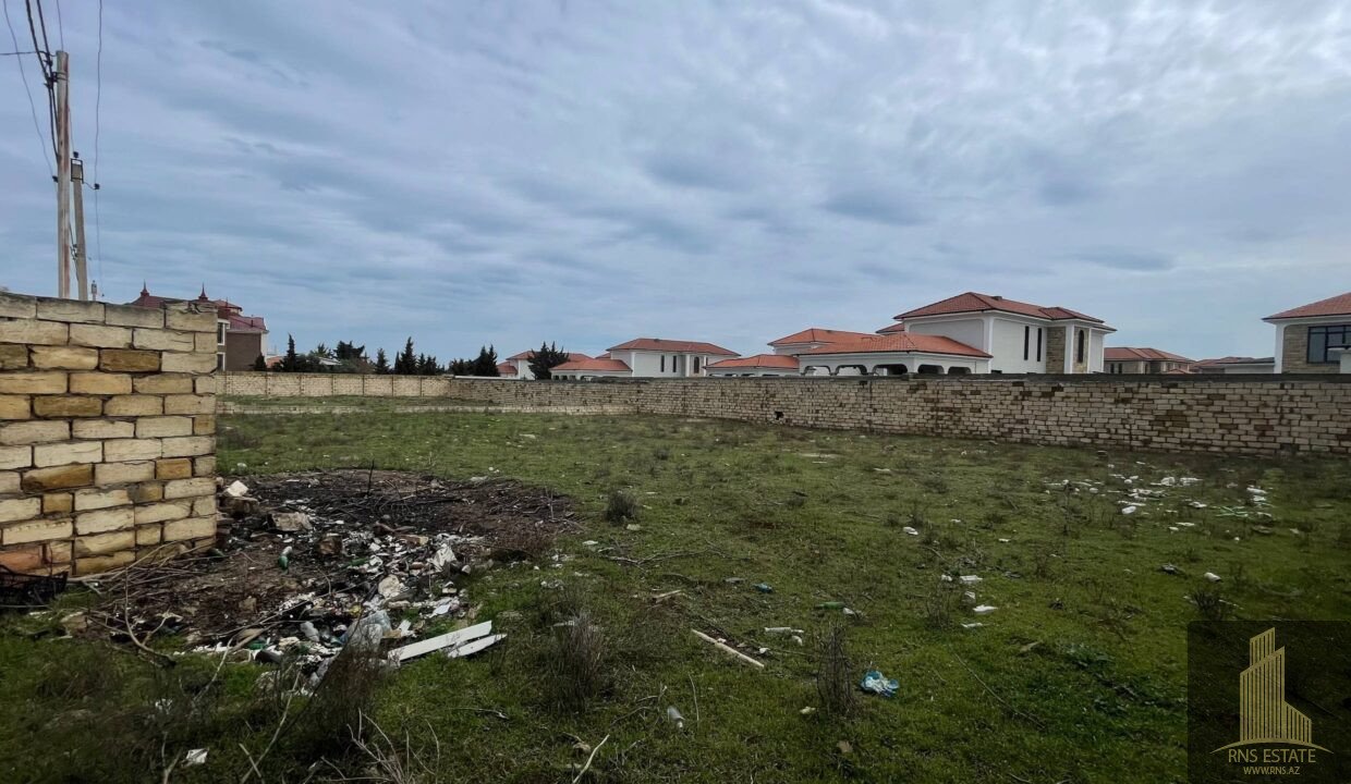 photo_2026-04-02_12-53-21 (3)