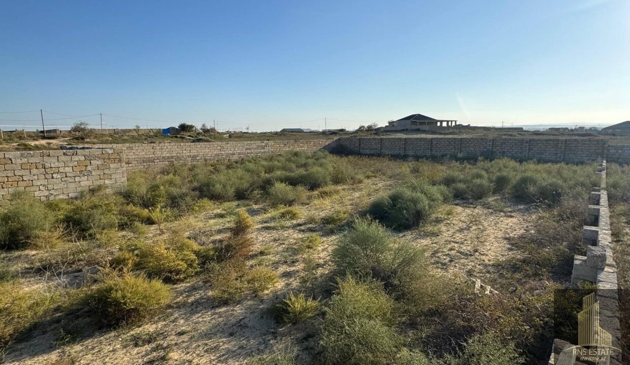 photo_2026-04-02_13-27-53 (3)