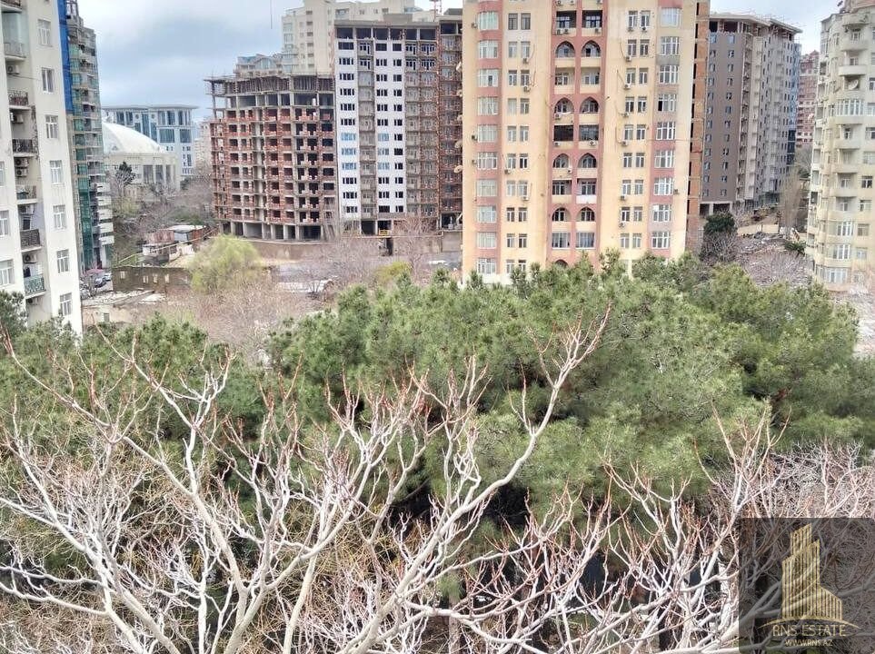 photo_2026-04-10_15-46-57