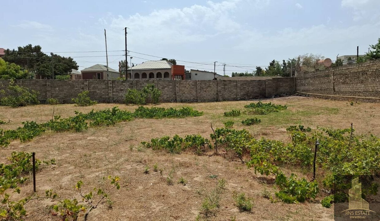 photo_2026-04-13_13-14-13