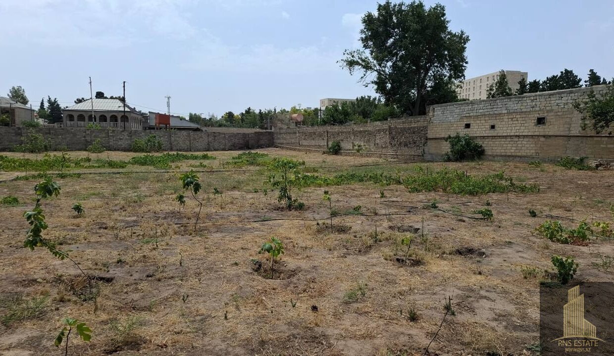 photo_2026-04-13_13-14-13 (2)