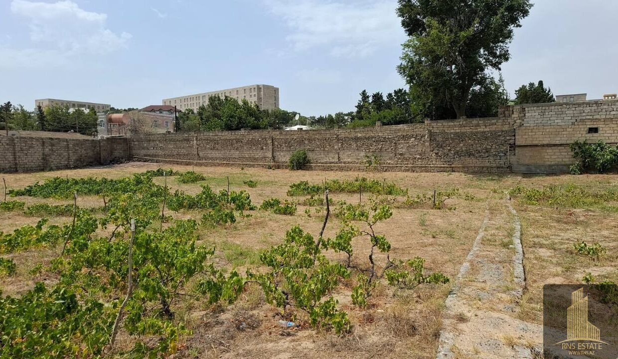 photo_2026-04-13_13-14-14