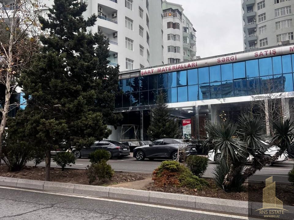 photo_2026-04-13_15-44-39