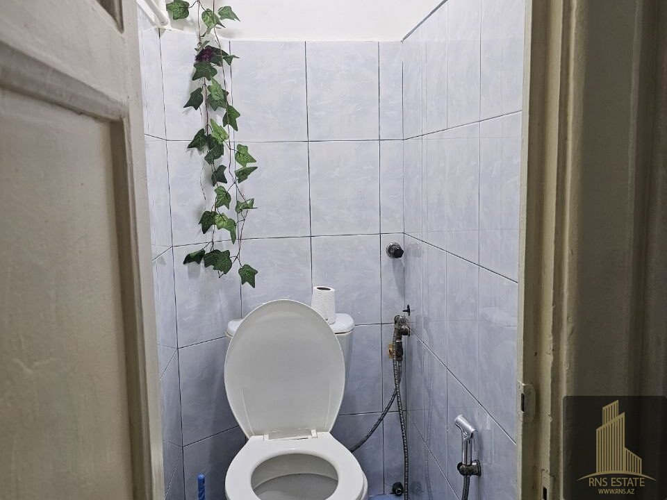 photo_2026-04-17_16-23-12