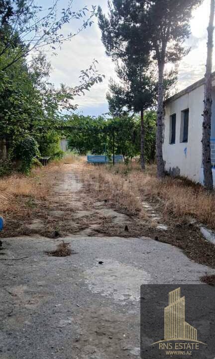 photo_2026-04-25_13-57-49