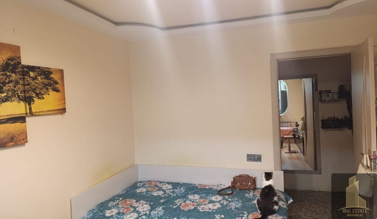 photo_2026-04-25_15-52-46