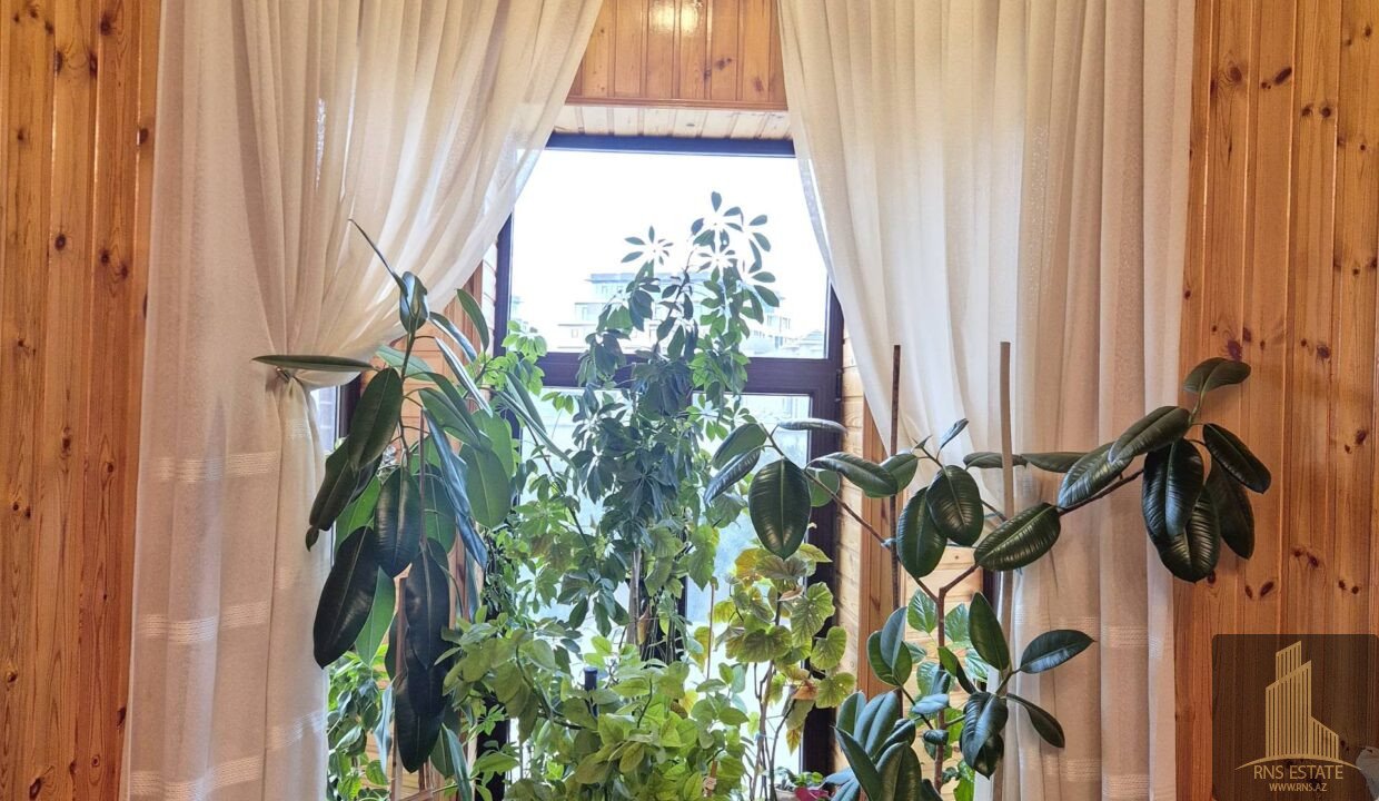 photo_2026-04-27_12-18-37