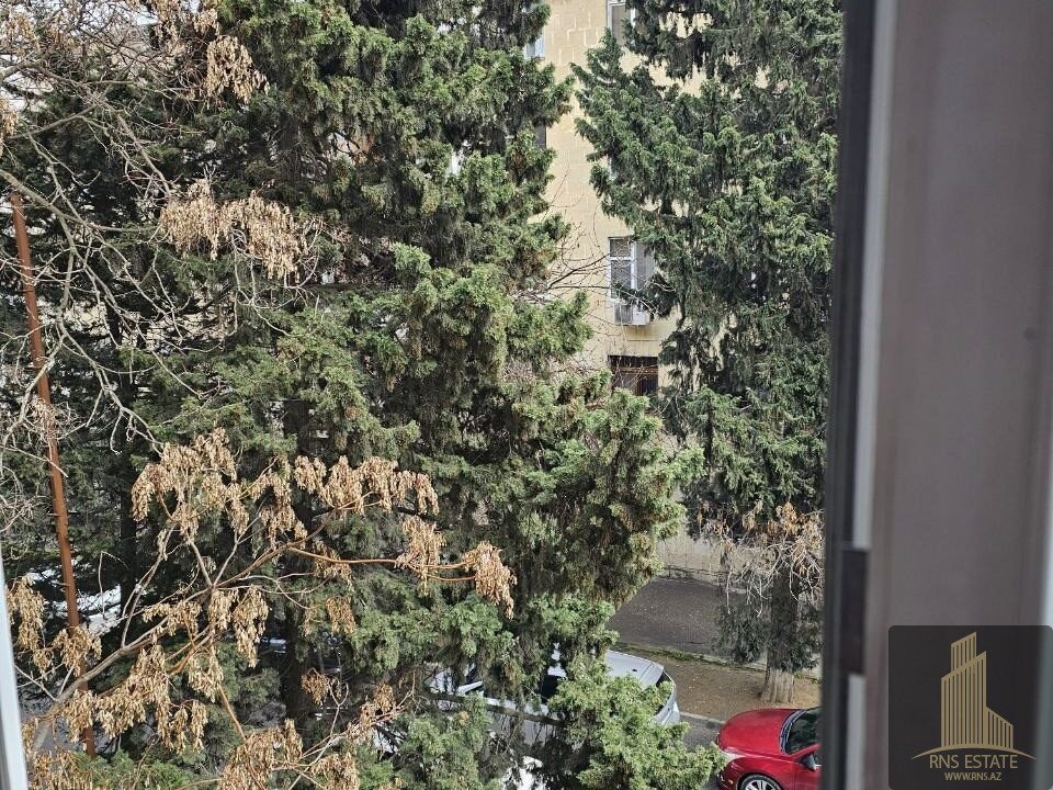 photo_2026-04-27_14-53-40 (2)