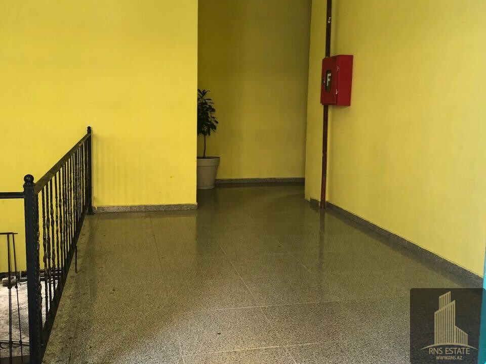 photo_2026-04-27_14-56-12 (2)