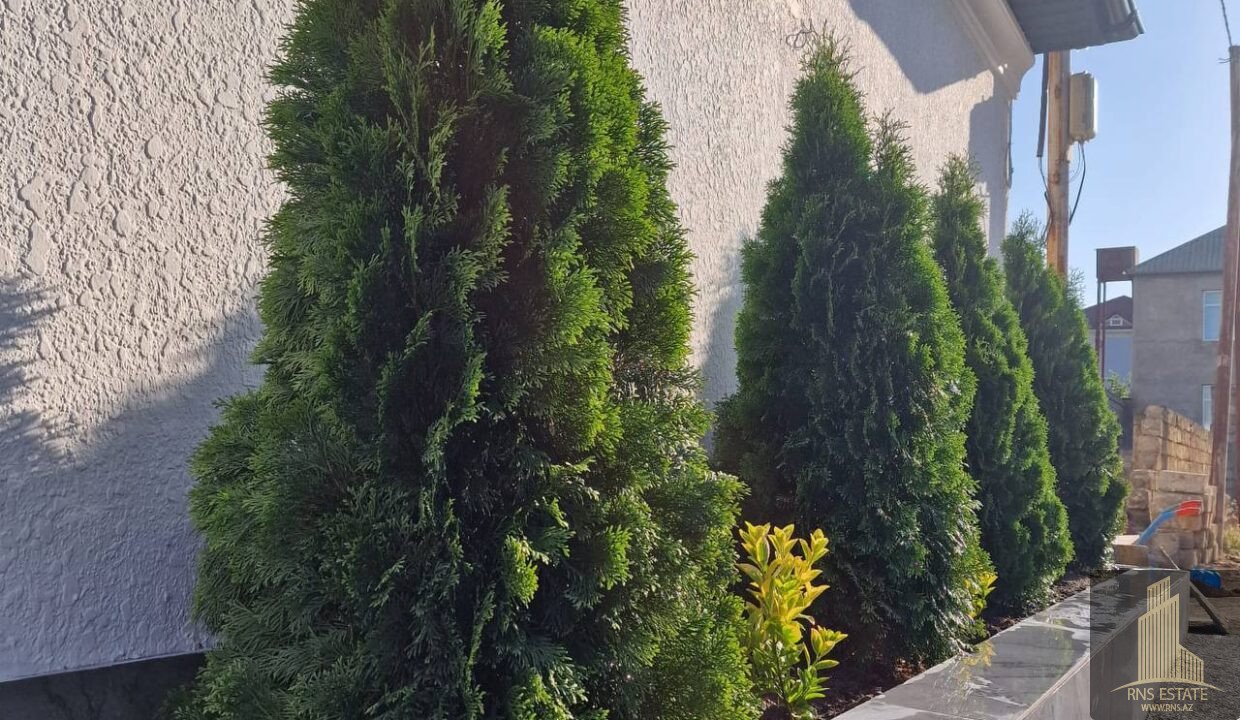 photo_2026-04-28_16-23-58