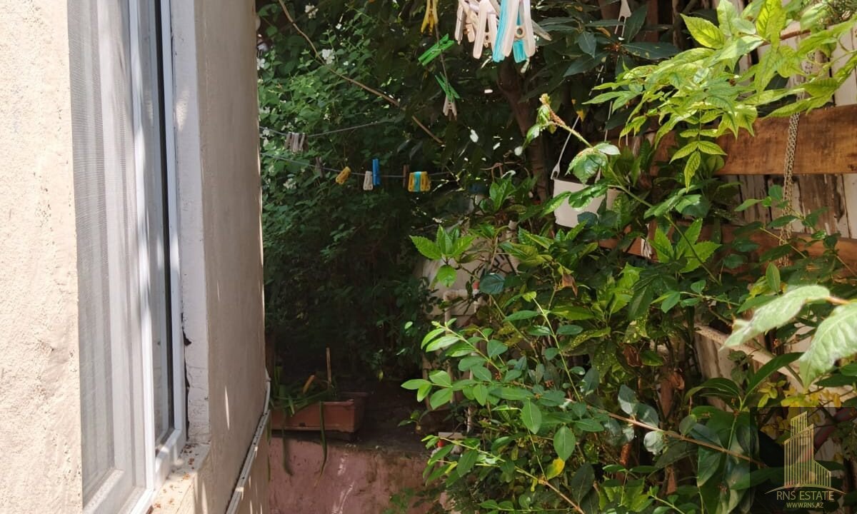 WhatsApp Image 2026-05-15 at 11.02.25 (1)