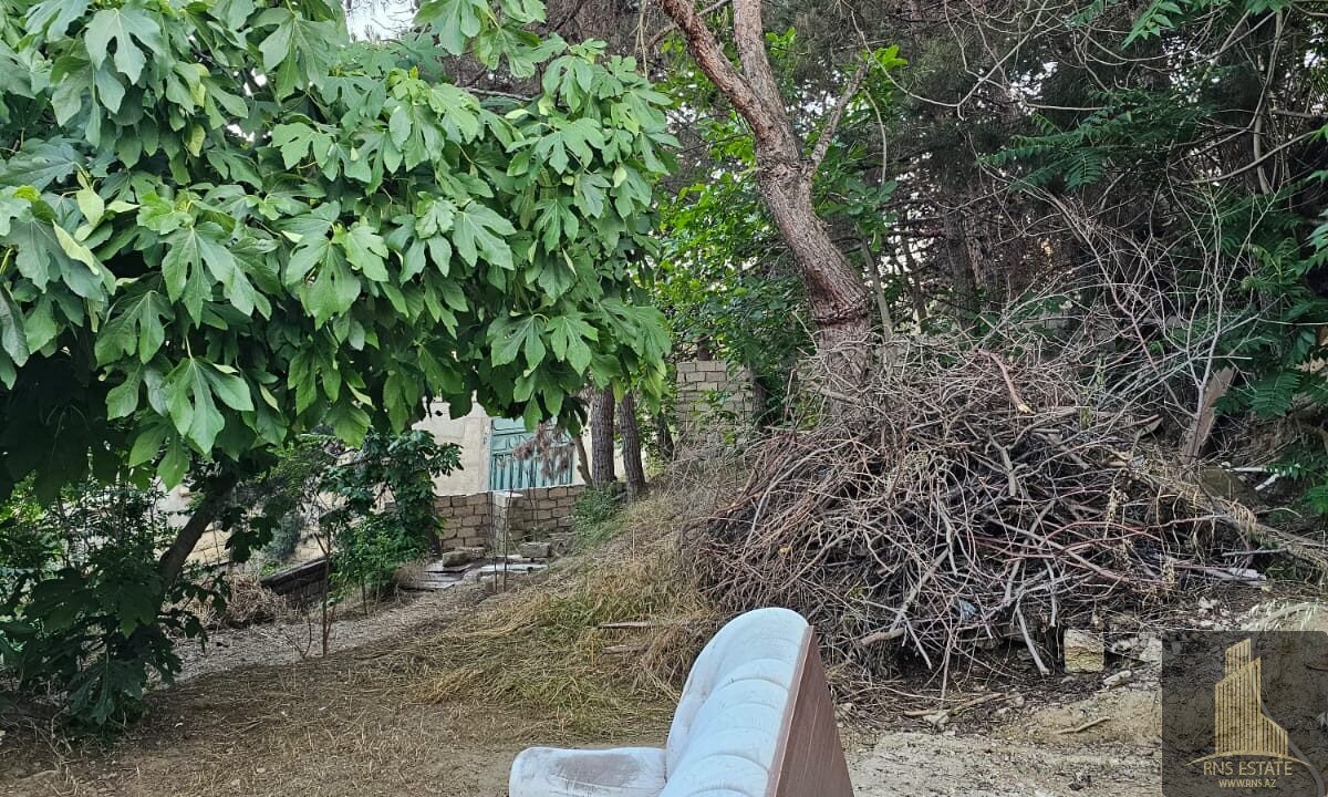 WhatsApp Image 2026-06-09 at 20.22.28 (1)