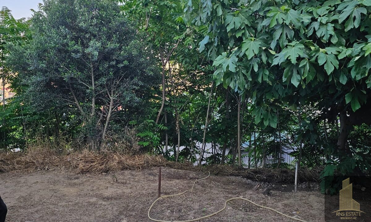 WhatsApp Image 2026-06-09 at 20.22.28