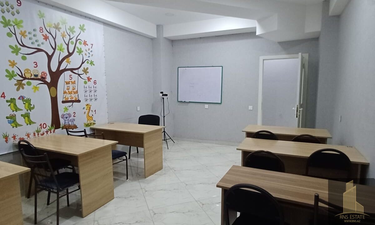WhatsApp Image 2026-08-01 at 16.23.07 (4)